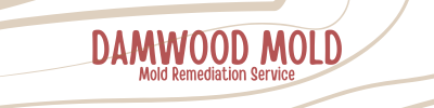 Damwood Mold - Mold Remediation Services and Inspections